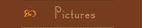 http://www.back-n-time-antiques.com/Pictures