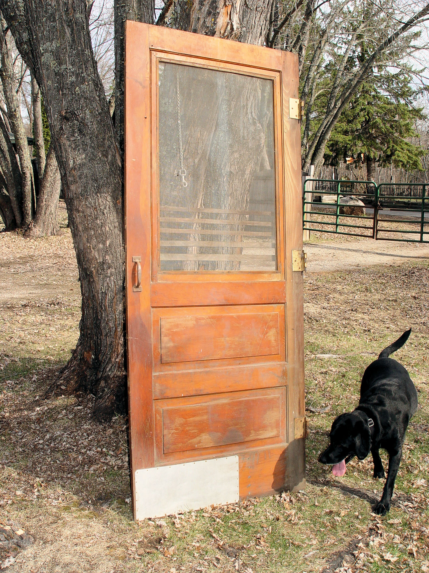 Vintage Industrial Heavy
Traffic Wooden Screen Door